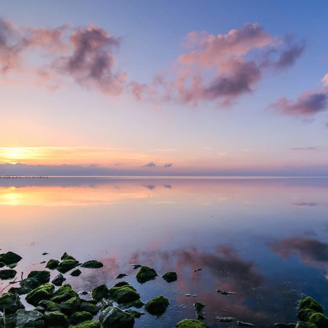 Encuentre la terapia que necesita